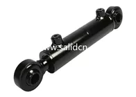 Customized Piston Double Acting Hydraulic Cylinders with Third Point
