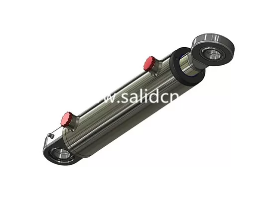 Chinese Manufacturer Special Piston Hydraulic Cylinder with Double-sided Piston-Rod