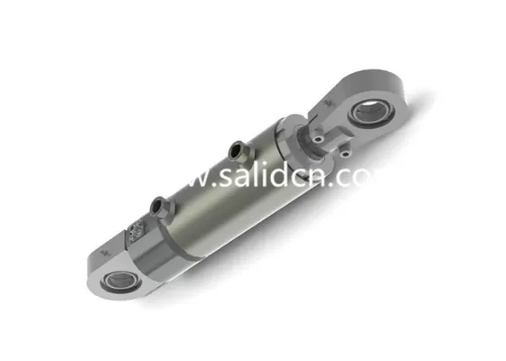 Chinese Manufacturer Special Piston Hydraulic Cylinder with Double-sided Piston-Rod