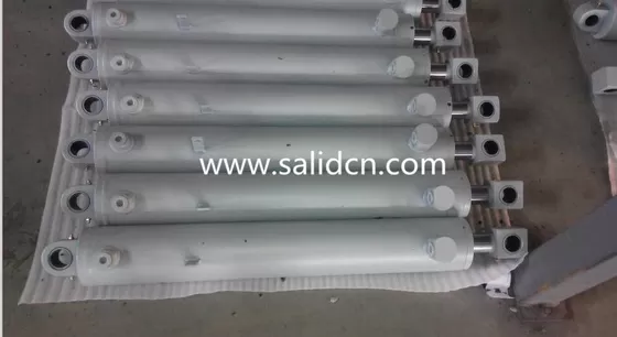 3000PSI Customized Heavy Duty Garbage Truck Hydraulic Cylinder