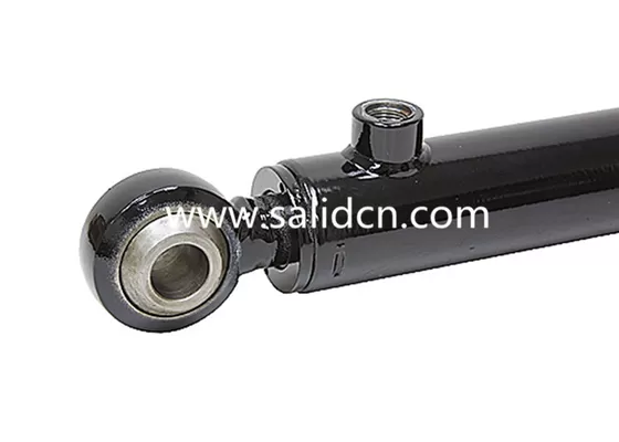 Customized Piston Rod Cushion Hydraulic Cylinder Used on Waste Management Trucks